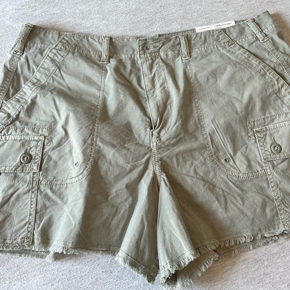 NWT Size 16 AE Boyfriend Shorts